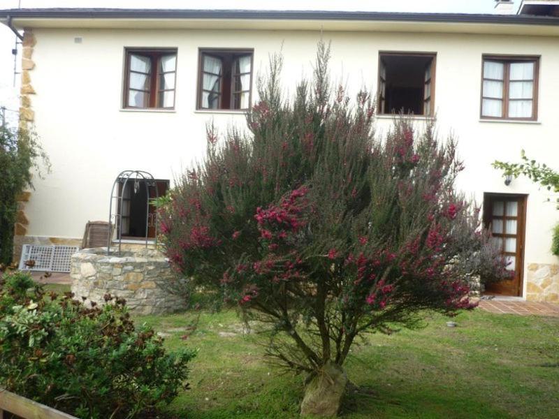 Lamuno Apartamentos Rurales La Caramba מראה חיצוני תמונה